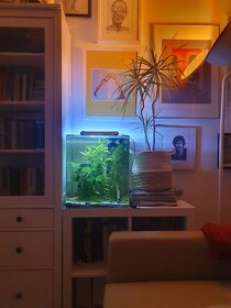 nano cube akvárium 60l - 6