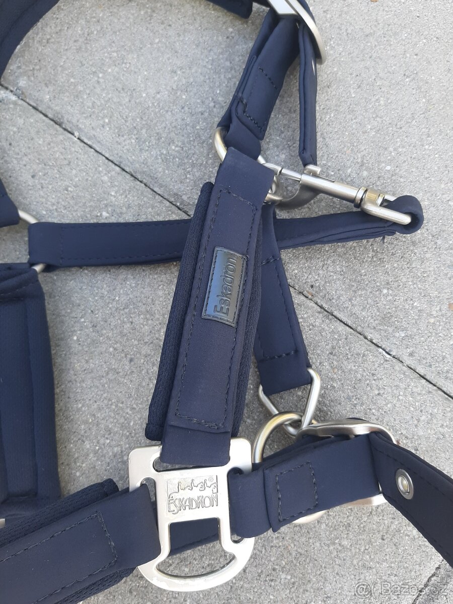 Eskadron ohlavky - 7