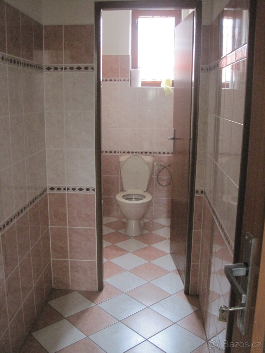 Pronájem v Přepychách - 7
