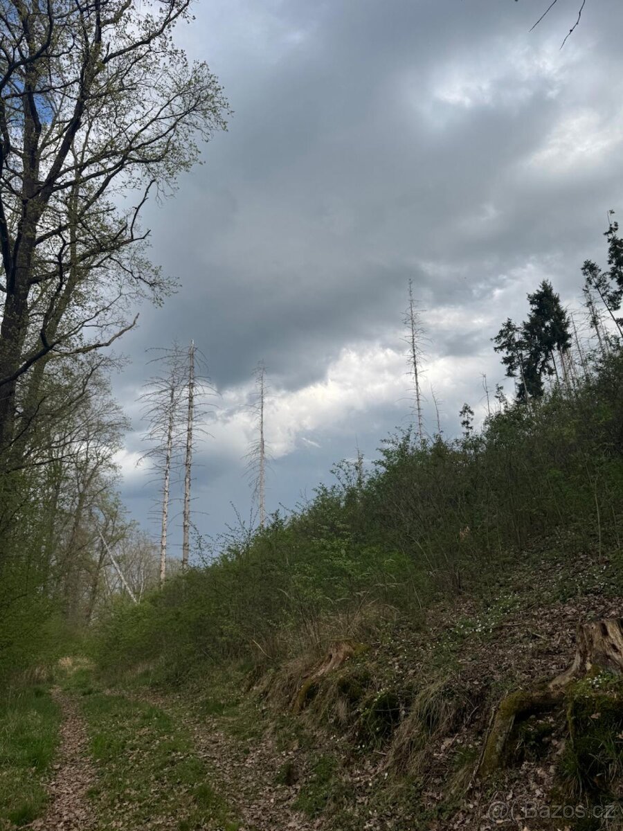 Prodám pozemky v katastrálním území Zahorčice u Vrábče - 7