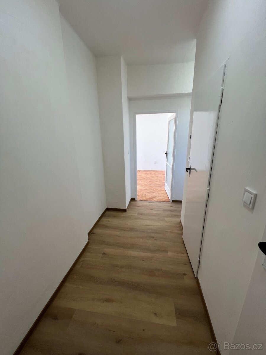 Pronájem bytu 2+1 v Olomouci - 7