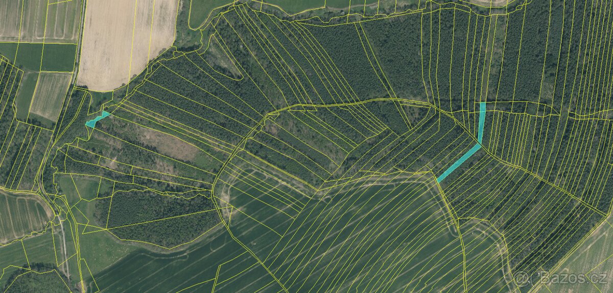 Prodám lesní pozemky v k.ú. Vlastiboř u Soběslavi - 7