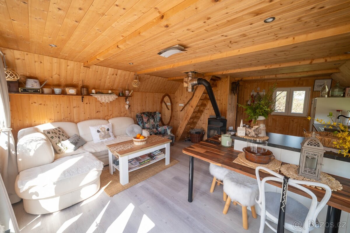 Stavební pozemek 9810m² Sentice u Brna - 7