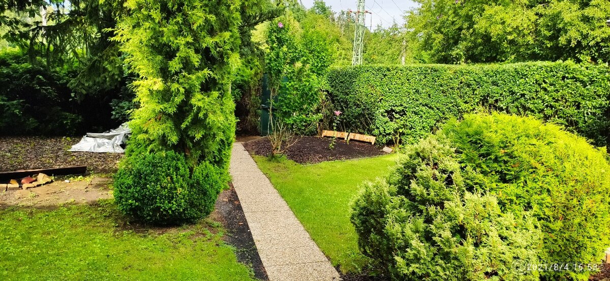 Pronájem zahrady - 7