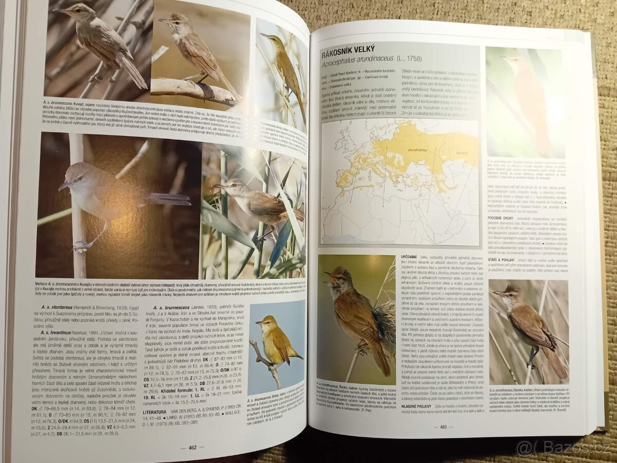 Ptáci: Pěvci Evropy, Blízkého východu a severní Afriky - 1,2 - 7