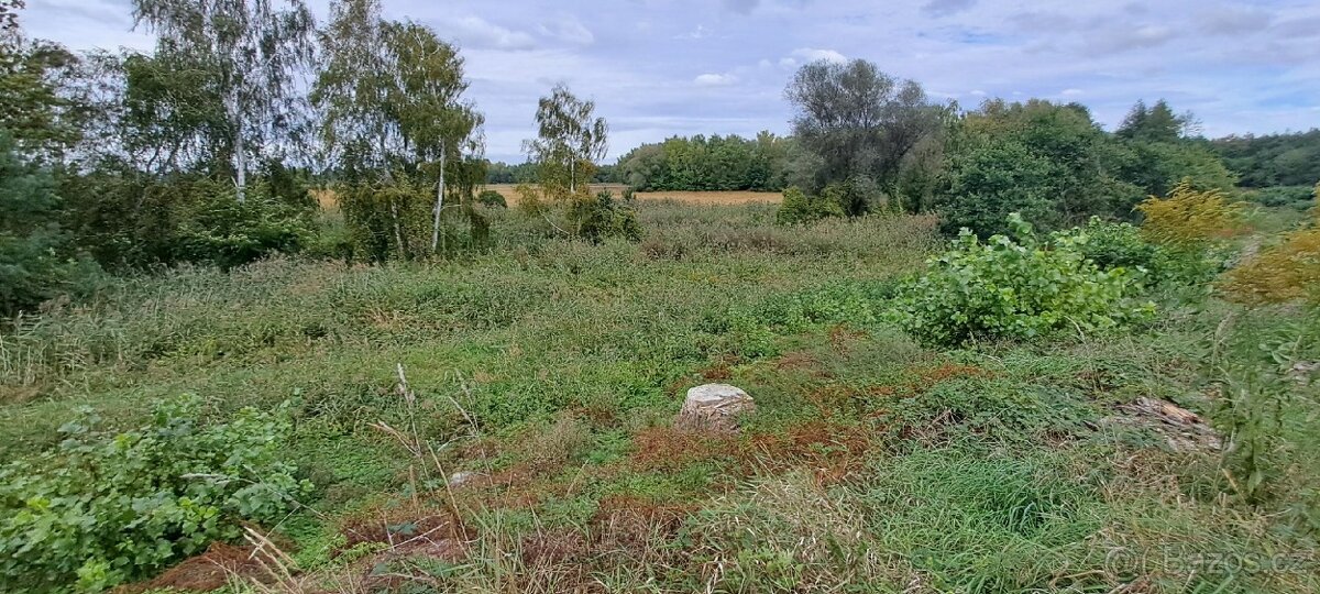 Prodej zahrady 3.737 m² v Borku - 7