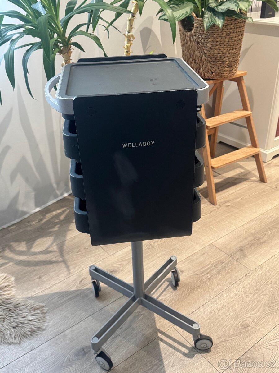 Kadeřnický vozík Wella Boy - 7