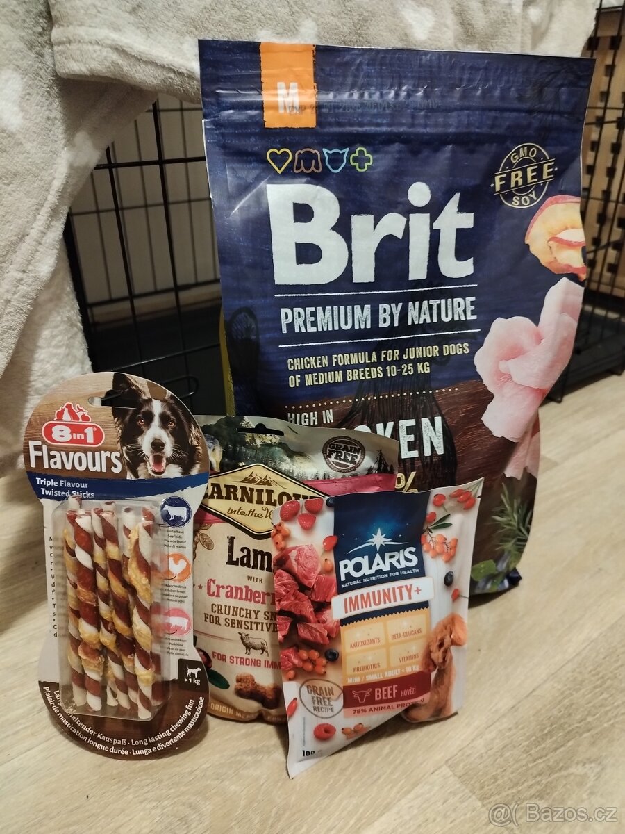 Základní výbava pro střední až velké štěně - 7