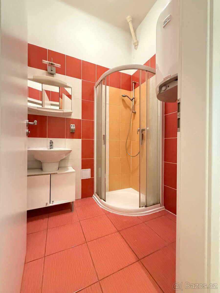 Prodej bytu 1+1 Tělocvičná - Plzeň - 7