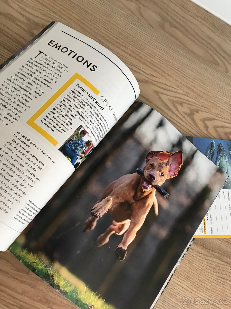3x National Geographic /2x US vydání a 1x CZ vydání/ - 7