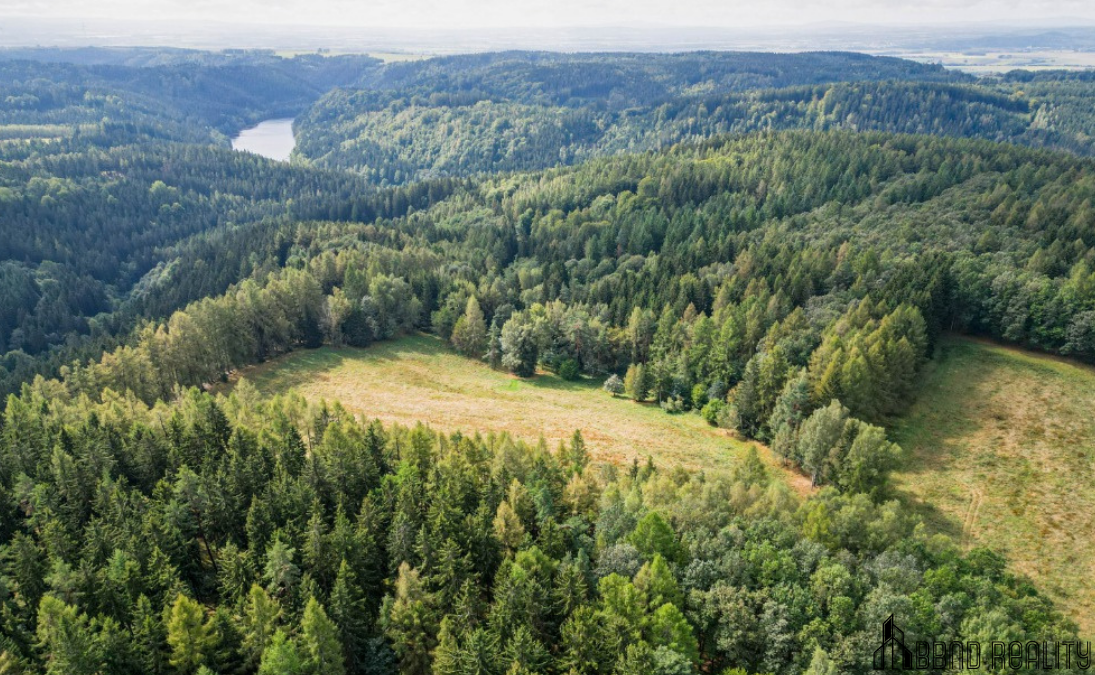 Prodej rozsáhlých luk v Bernov, 44 540 m² - 7