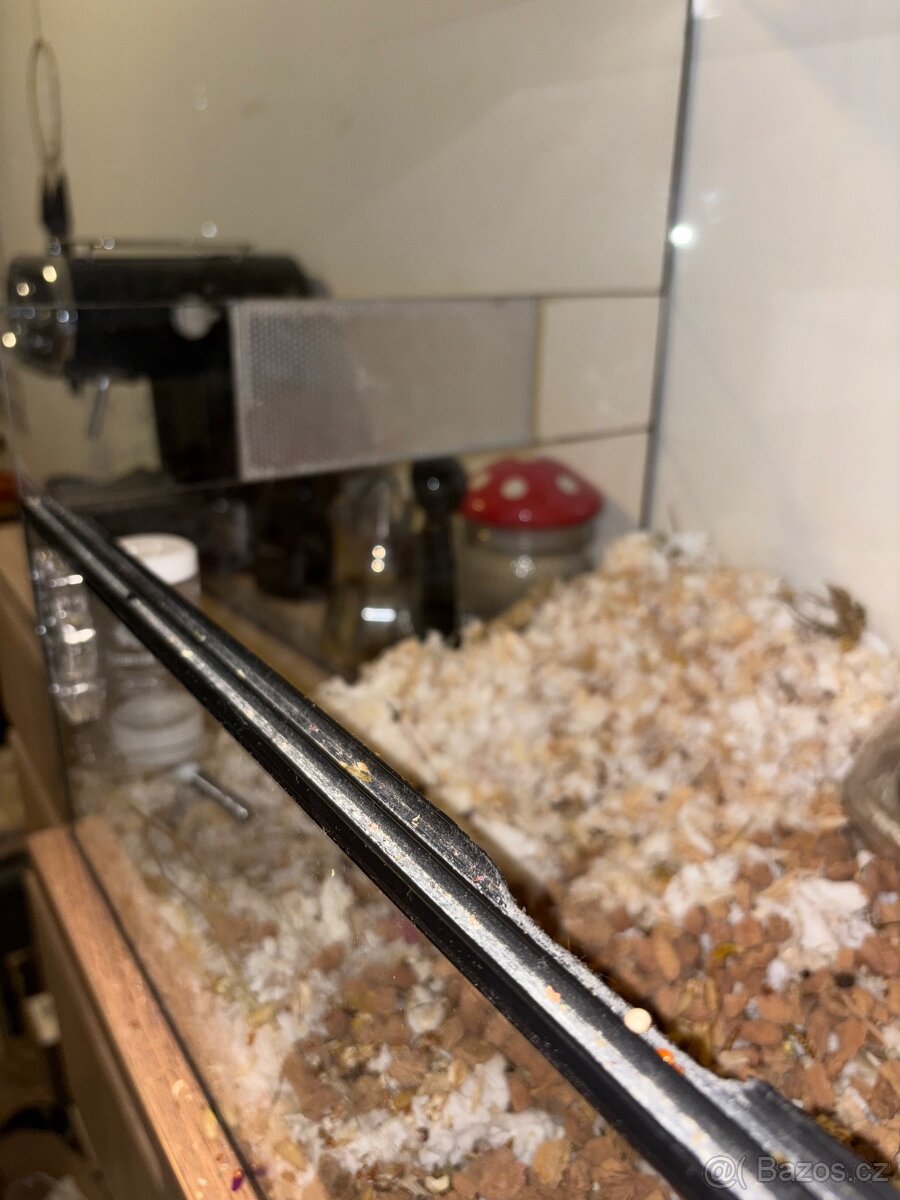 Terárko a kolečko pro křečka - 7