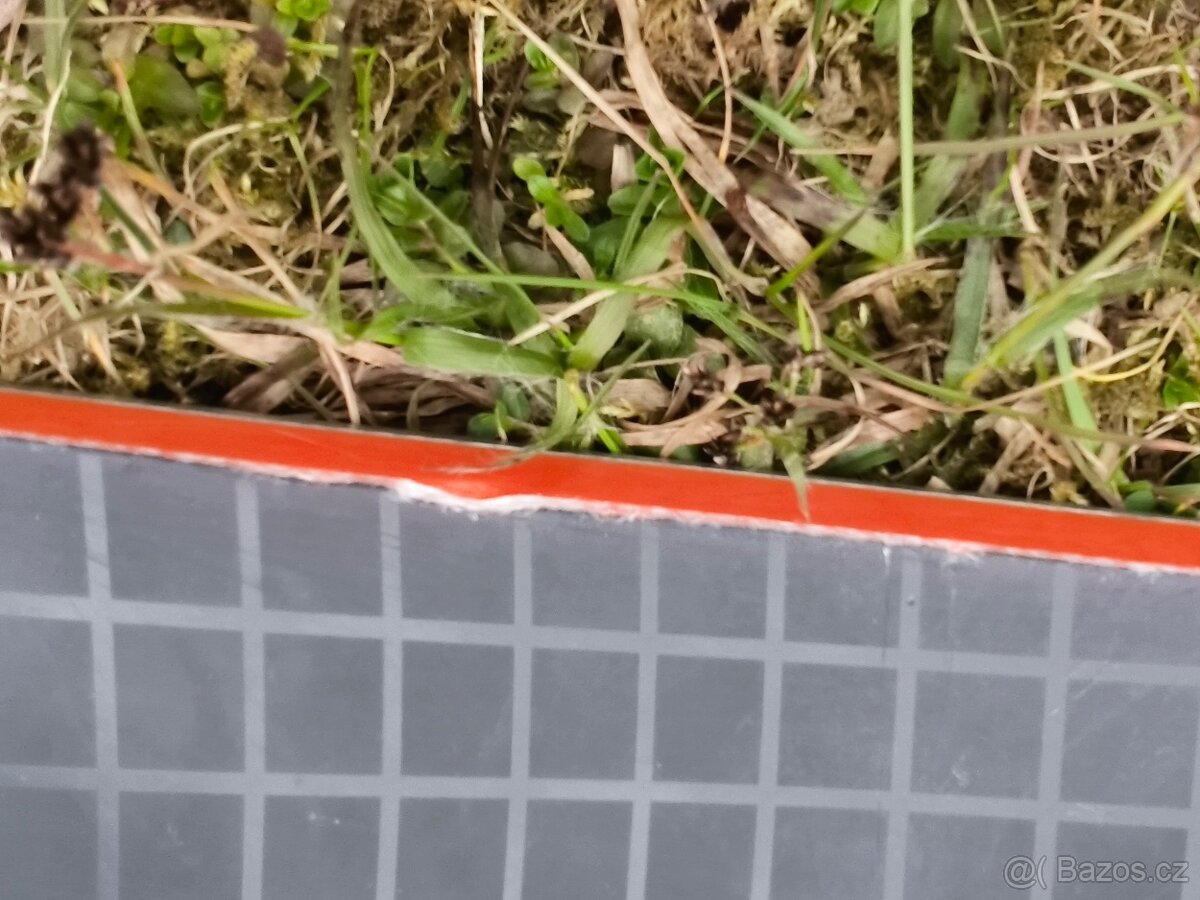 HEAD Incite LYT 156 (2025) - 7