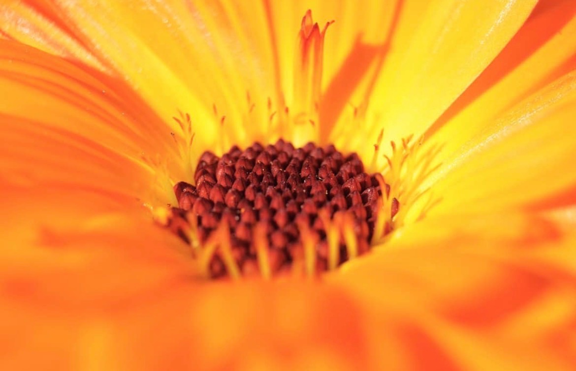 Nikon D3200 + stativ - 7