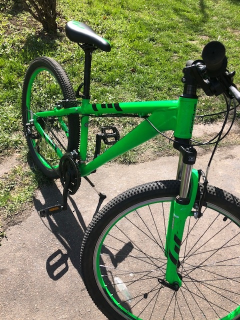 Prodám juniorské kolo Focus Dog Fish 4.0 S, 19’ - 7