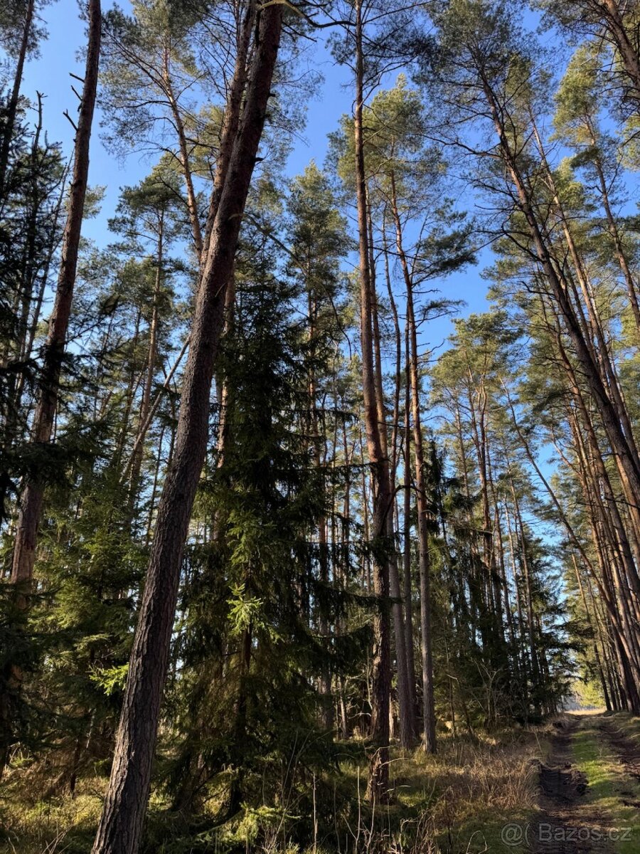 Prodám pozemky v katastrálním území Nemějice - 7