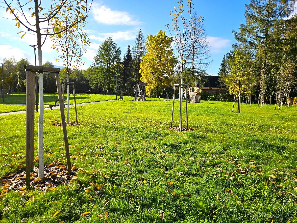 AKČNÍ NABÍDKA- pronájem byt 2+kk, 78 m2, Frýdlant n.O. - 7