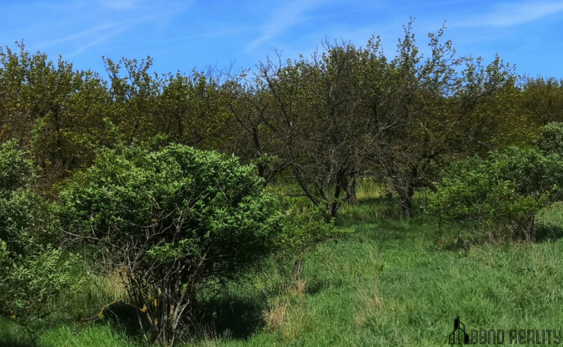 Prodej sadu, 22 292 m2 , Hustopeče u Brna - 7