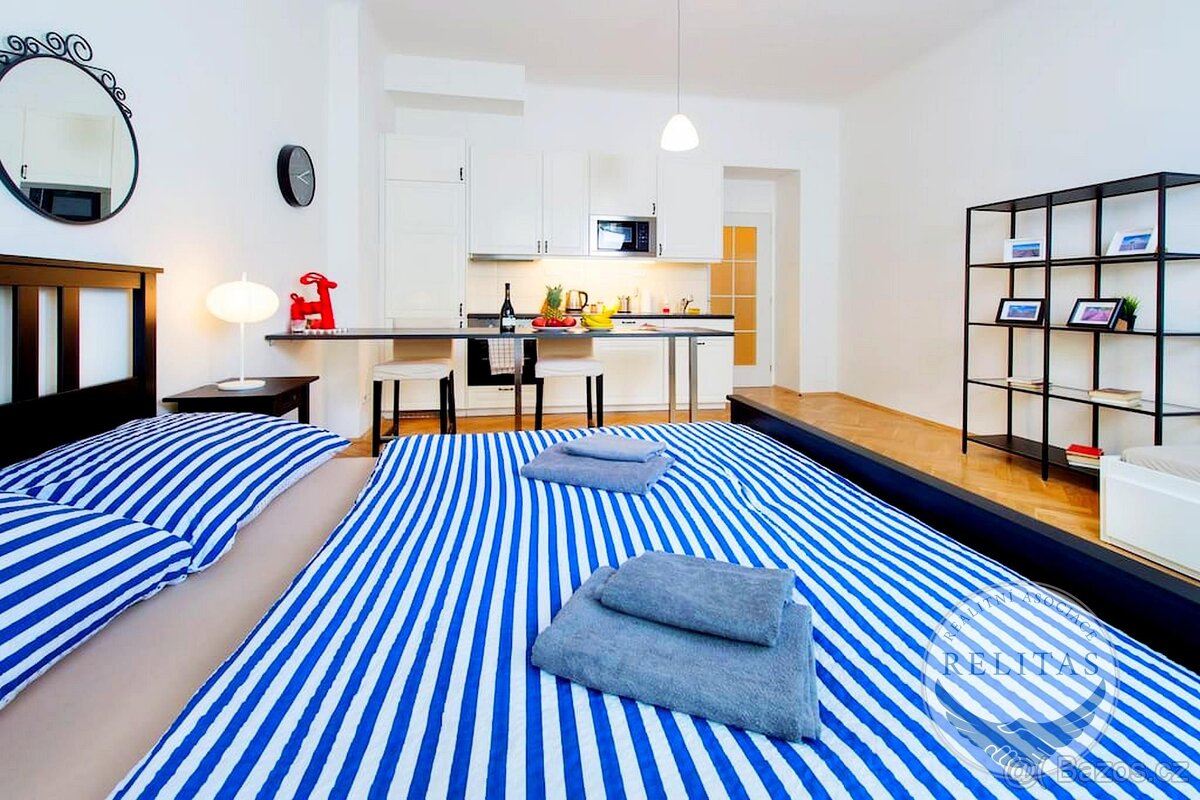 Pronájem byt 1+kk 33 m² - 7