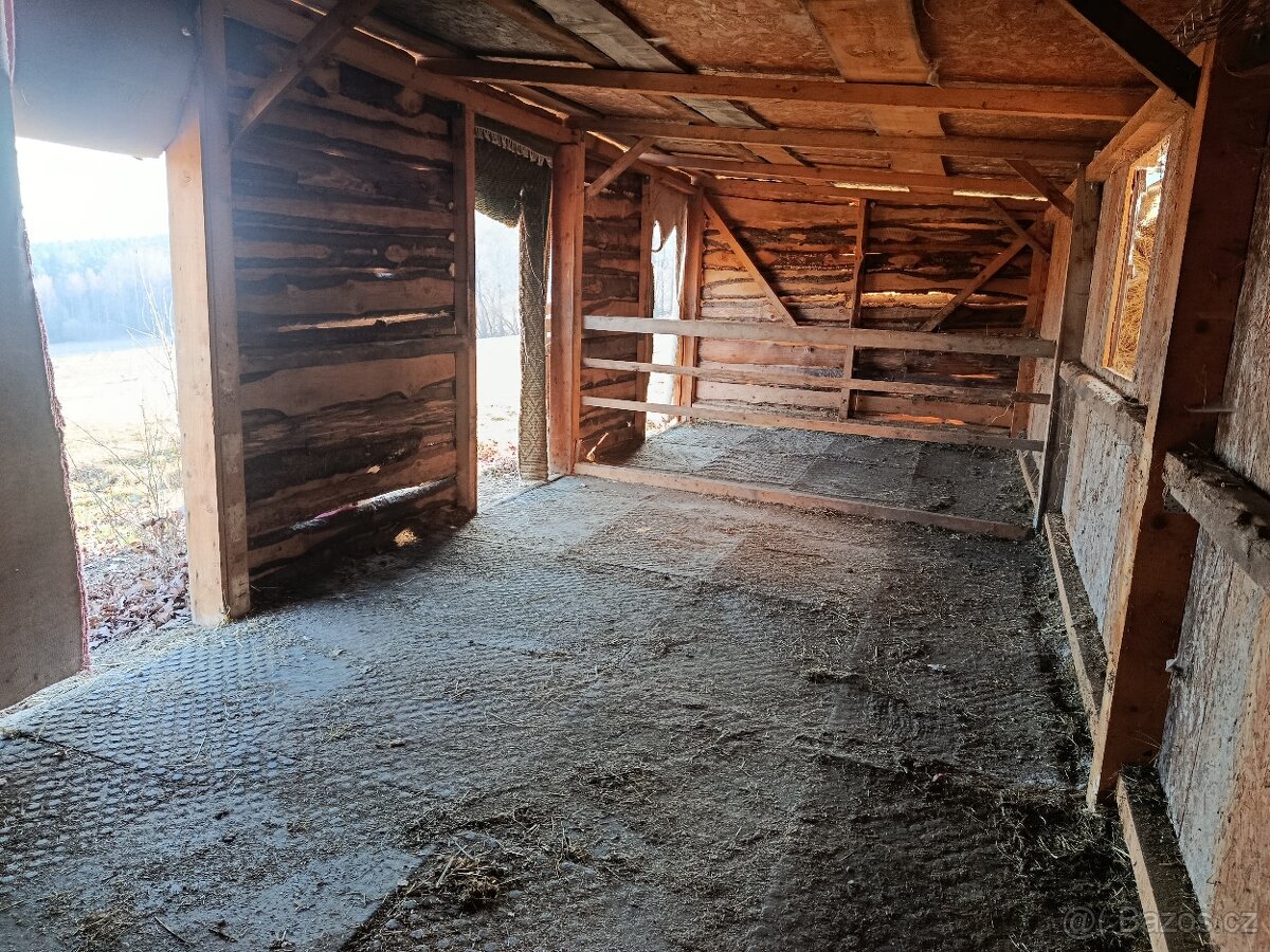 Pastevní ustájení - 7