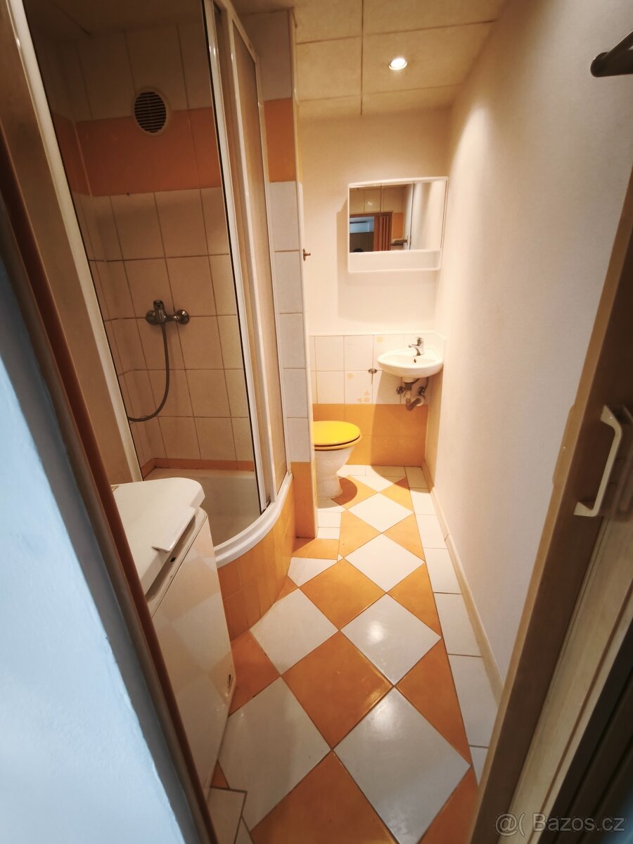 Pronájem bytu 1+1 33 m² Staňkov - 7