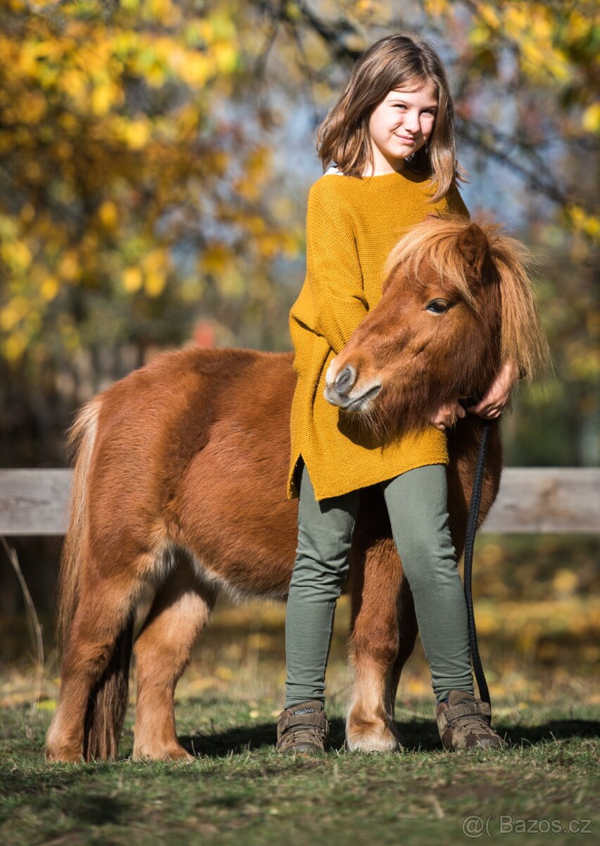 Minihorse kobylka a valach - 7