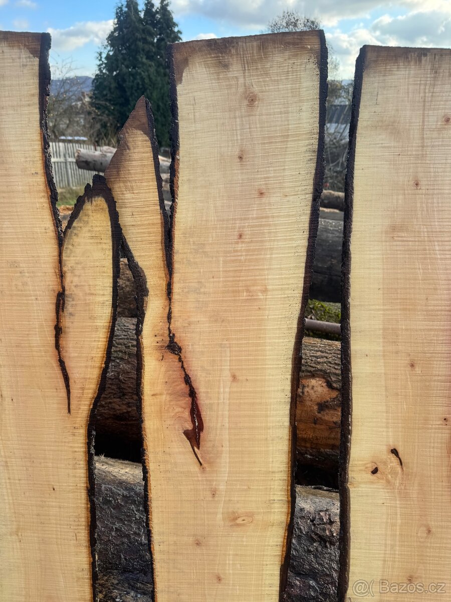 Kaštanové fošny - 7