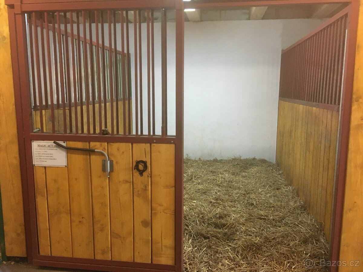 Ustájení koní - 7