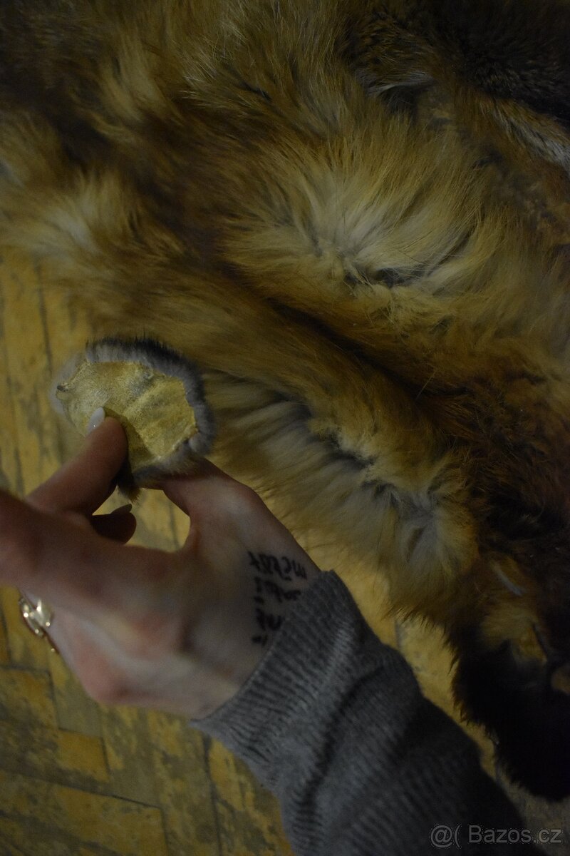 Kožešina liška - 7