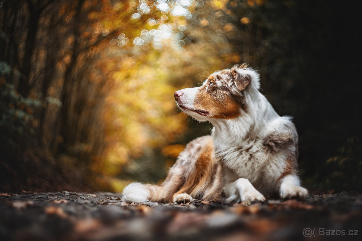 Helios 44M 58/2 M42 - 7