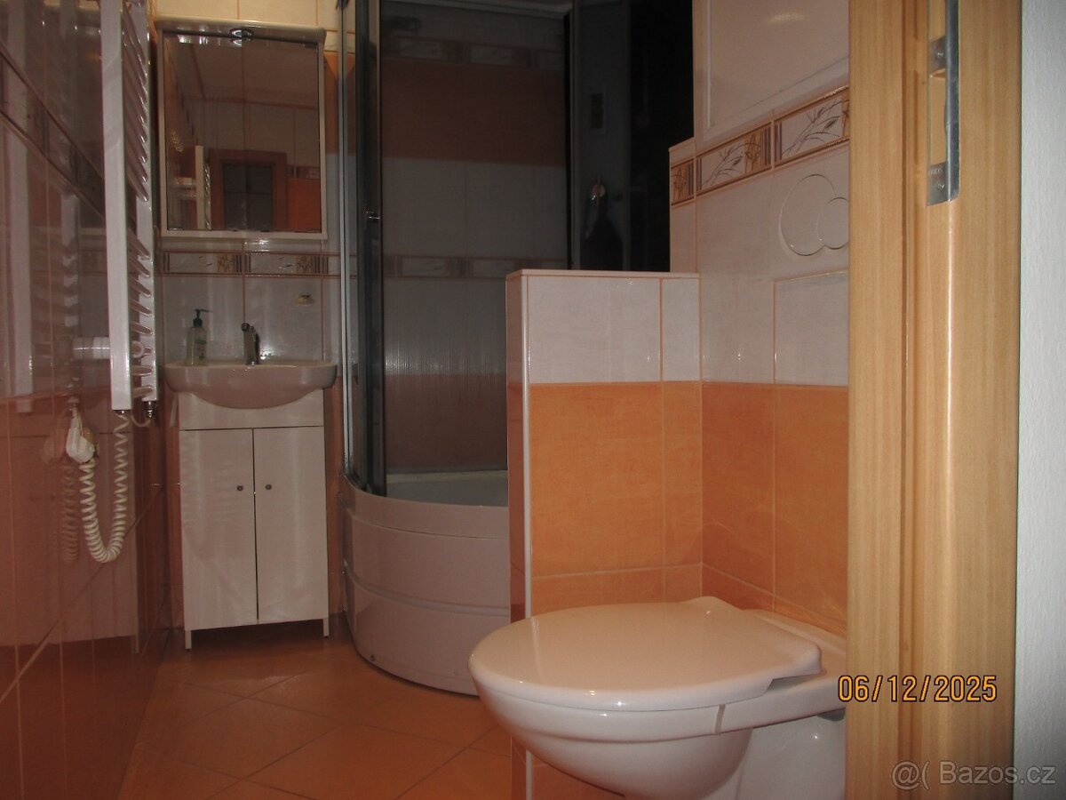 Prodej zařízeného bytu 2+1 ve Zdíkově na Šumavě - 7