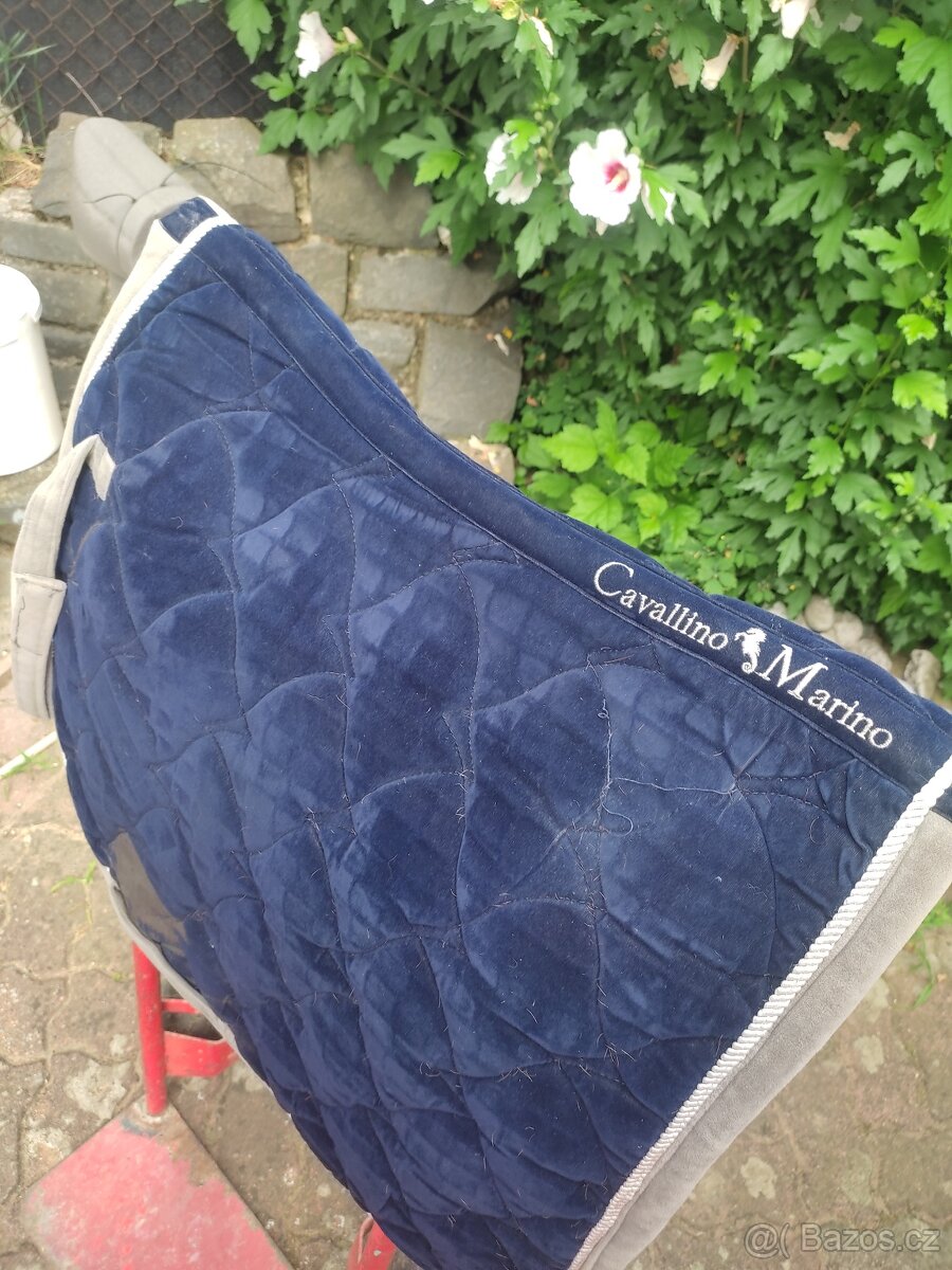 Drezurní DL dečky, mnoho kusů - 7