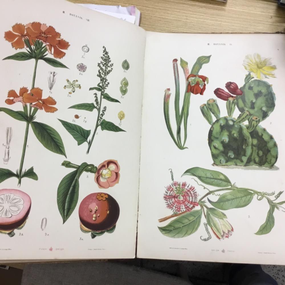 Vice nez 4000 knih - 7