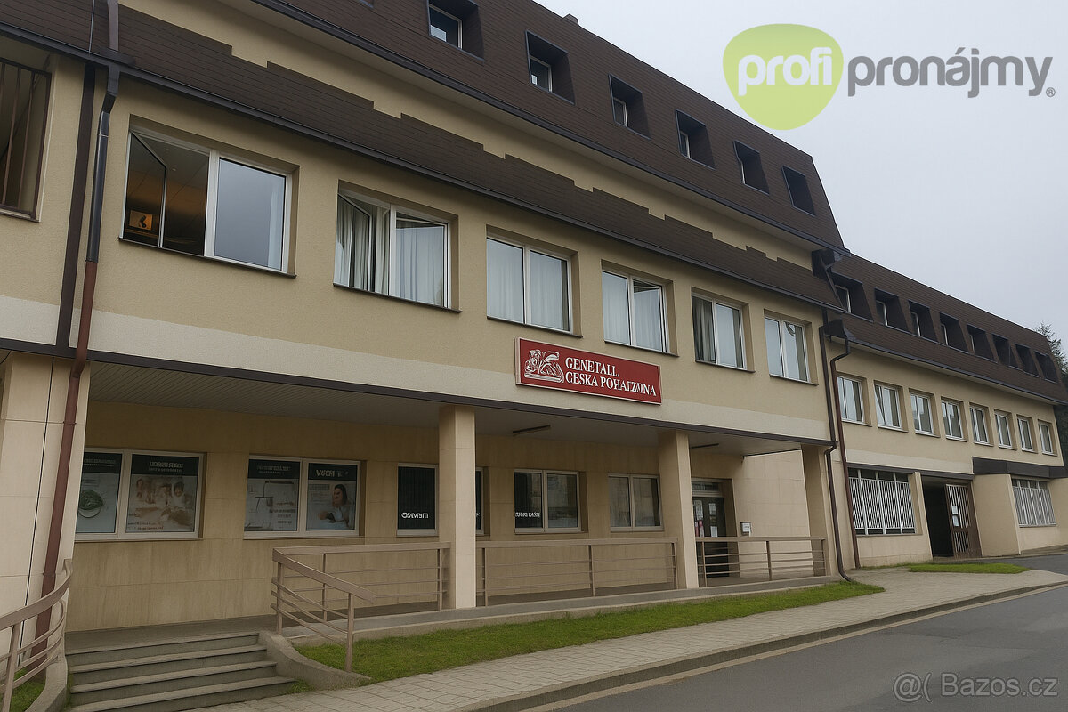 Pronájem kanceláře 19 m² - 7