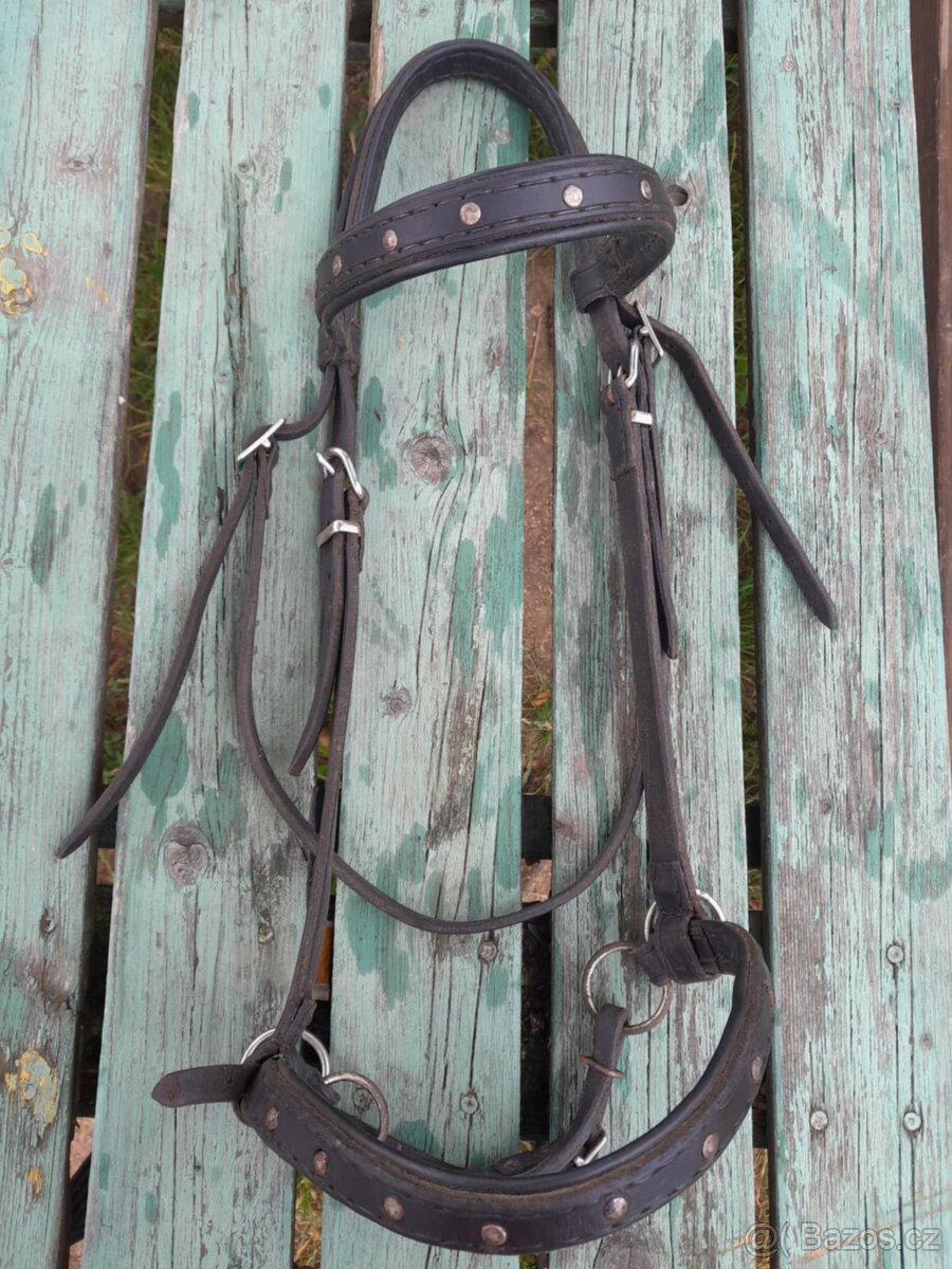 Korekční beránek a další cajky - 7