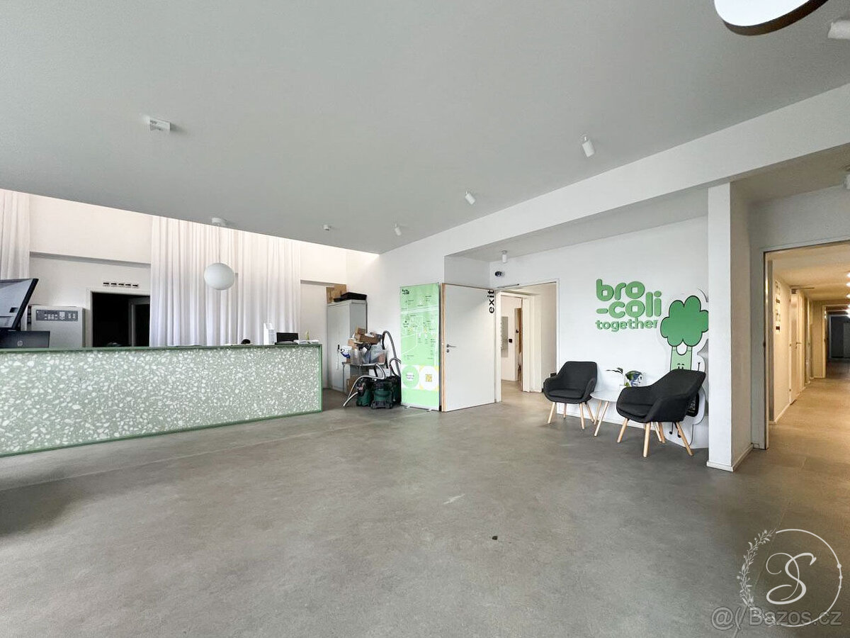 Pronájem bytu 1+kk, 25 m2, Praha - 7