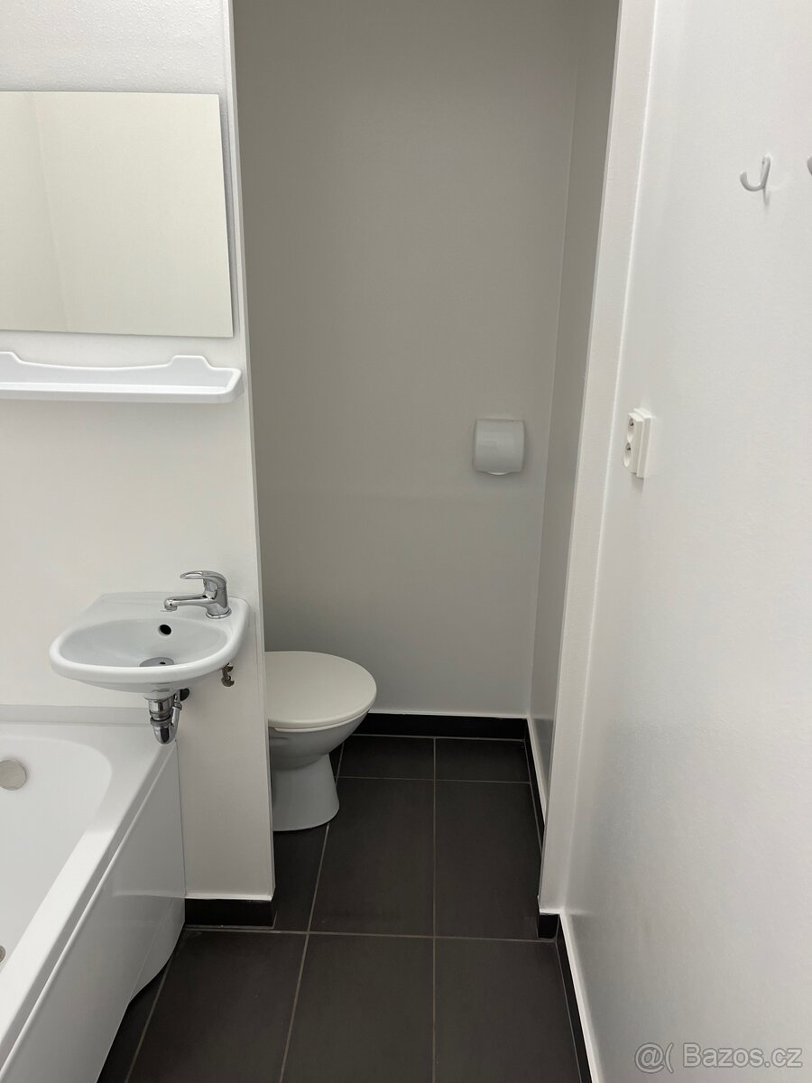 Pronájem bytu 1+1 Smiřice - 7