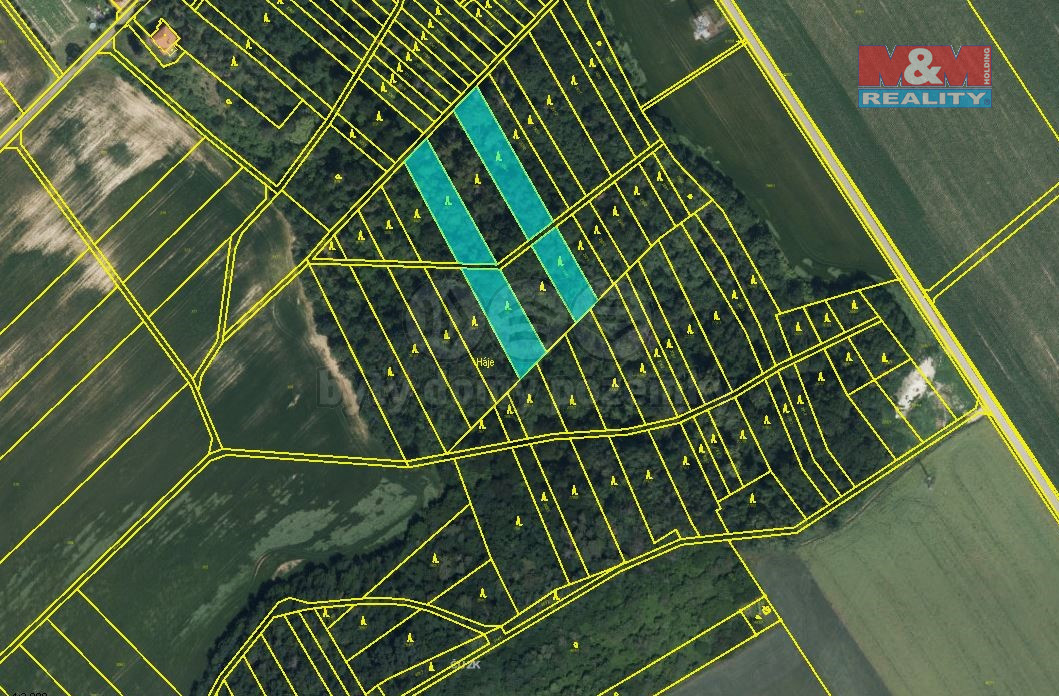 Prodej lesa, 4332 m², Držovice - 7
