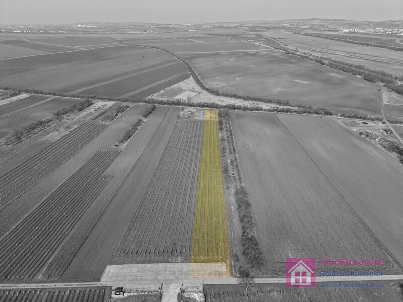 Prodej vinice v Rakvicích - 7