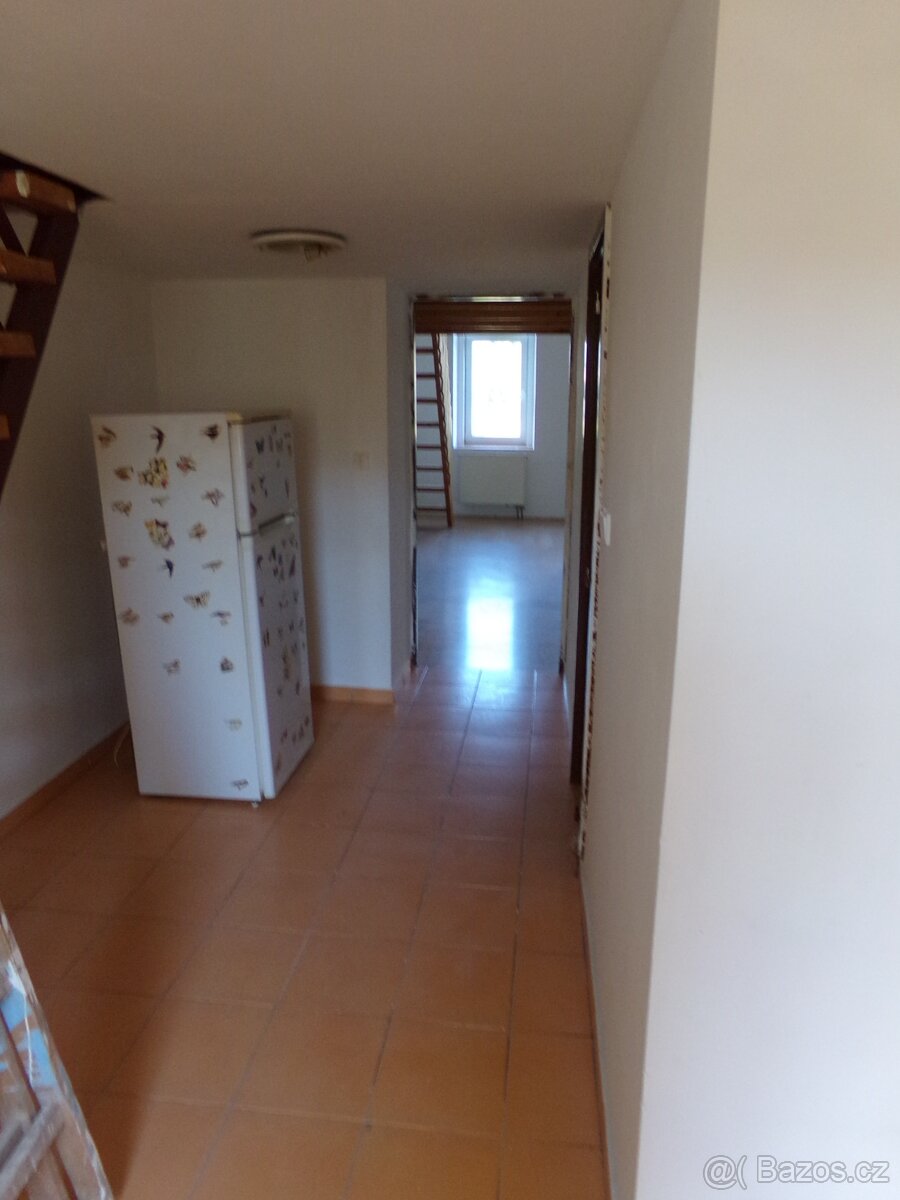 Pronájem bytu 1+1, Podnásepní, 75m2 - 7