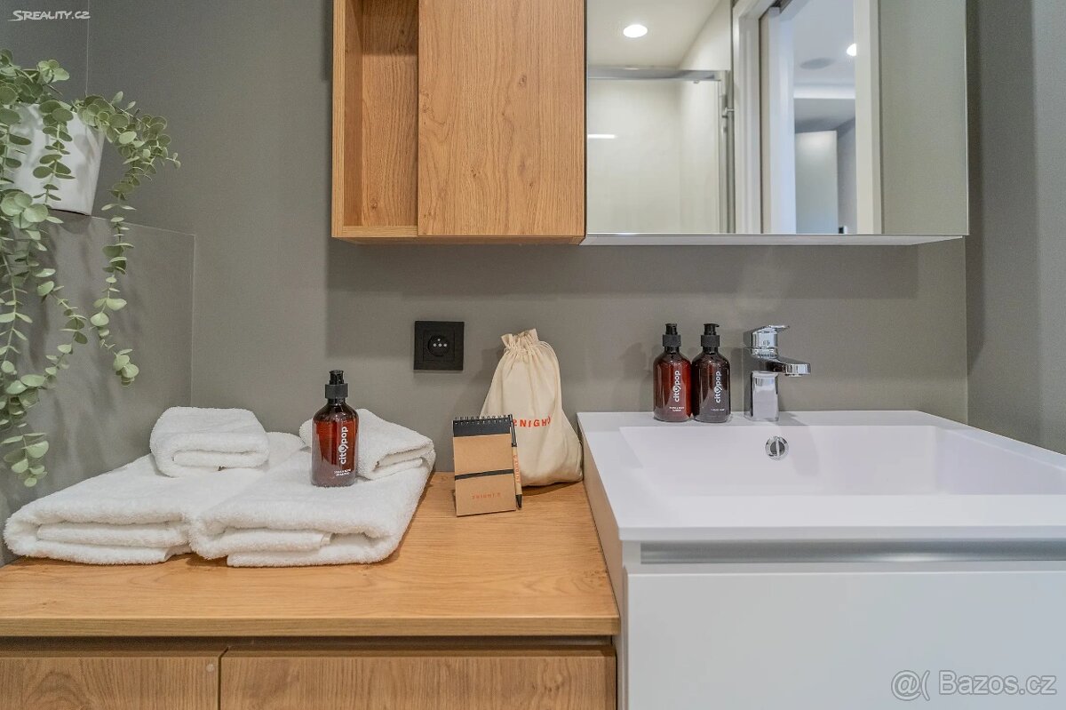 Pronájem bytu 1+kk 25 m² Legerova, Praha - Nové Město - 7