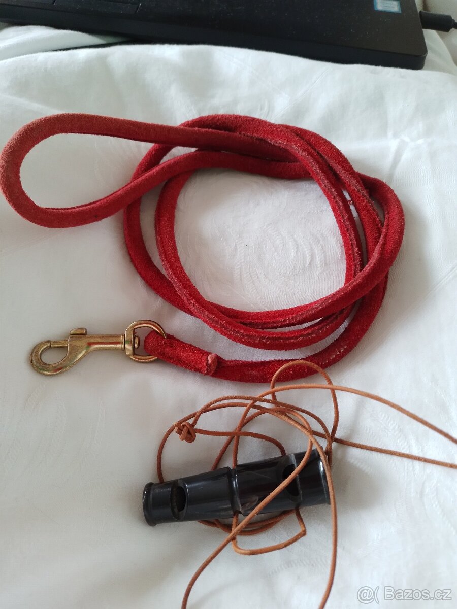 potřeby pro psy,hračky,balonky ,pelech propsa - 7