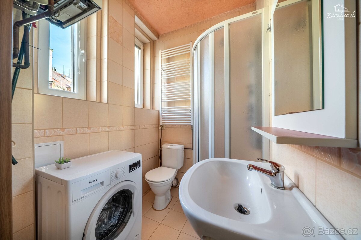 Pronájem bytu 2+kk 46 m², Plzeň - Jižní Předměstí - 7