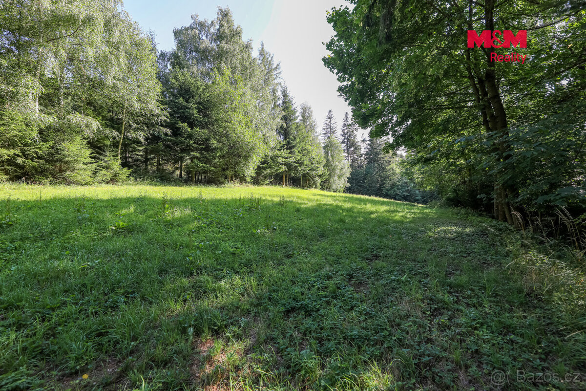 Prodej lesa, 15707 m², Petrovice u Sušice - 7