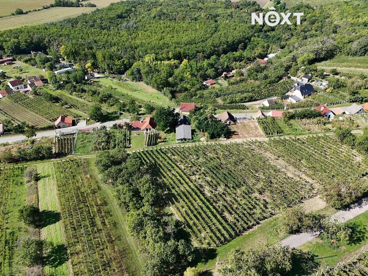 Prodej ostatní Vinný sklep, 80㎡ - 7