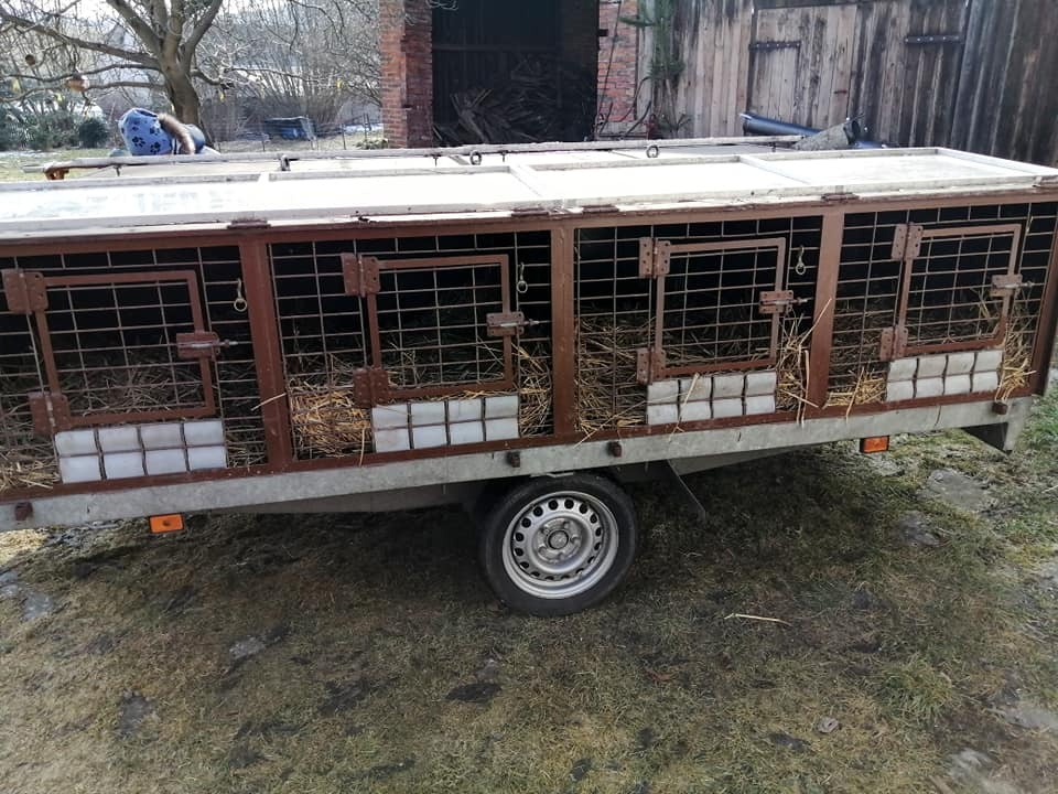 Přepravní vozík na psy - 7