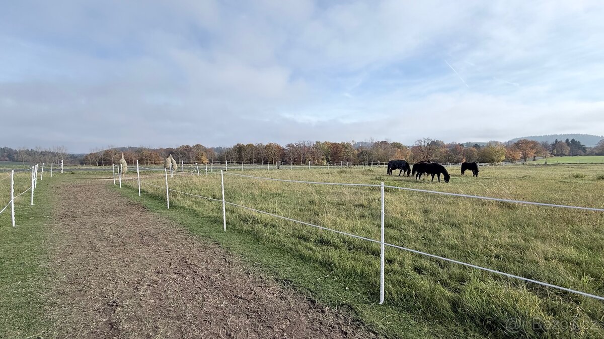 Trekové pastevní ustájení exit34 D1 - 7