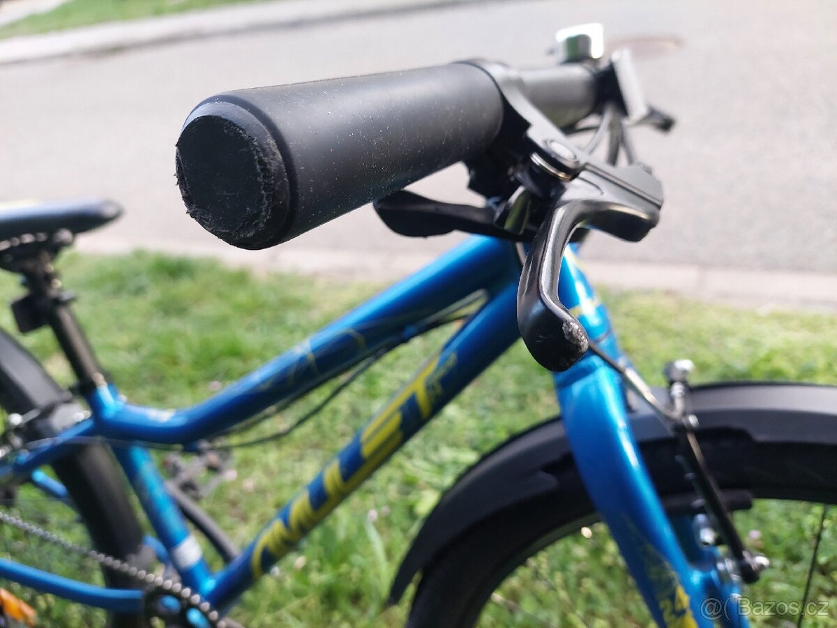 Amulet Tomcat 24" - 7