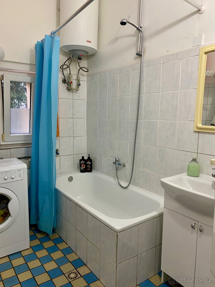 Pokoj ve vilce v Říčanech u Prahy - 7