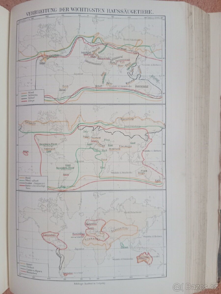 STARÝ LEXIKON Z ROKU 1905 MAYERS - 7